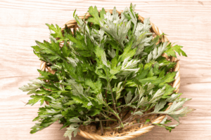 건강에 좋은 약초