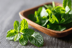 건강에 좋은 약초