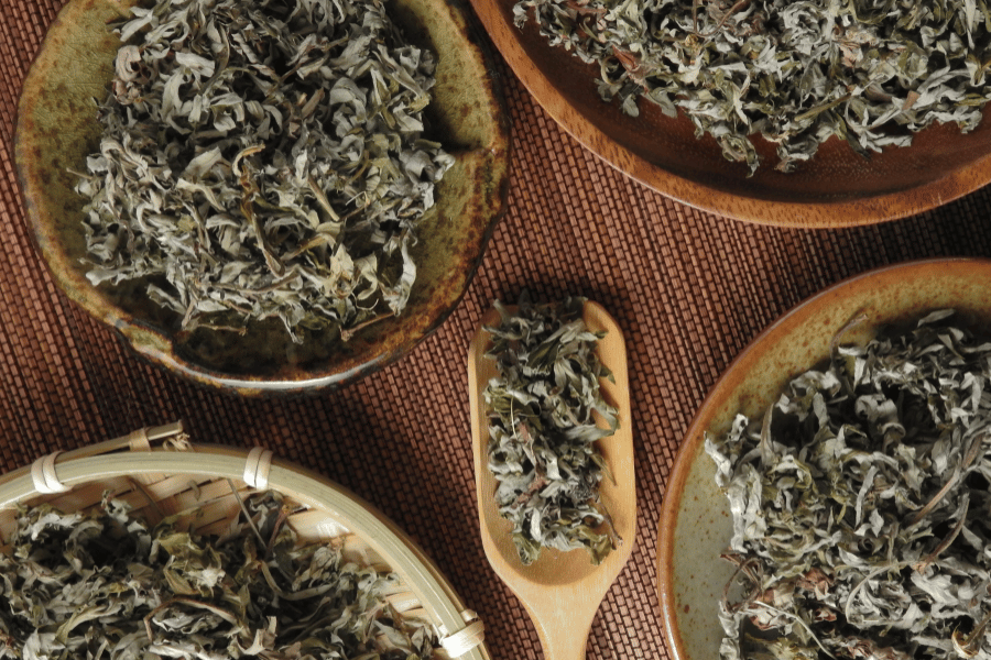 쑥의 항염 효과와 전통적 활용법