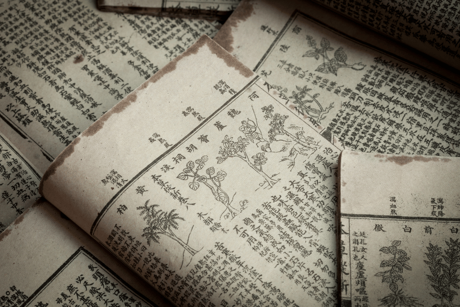 동의보감 속 희귀 약초 이야기