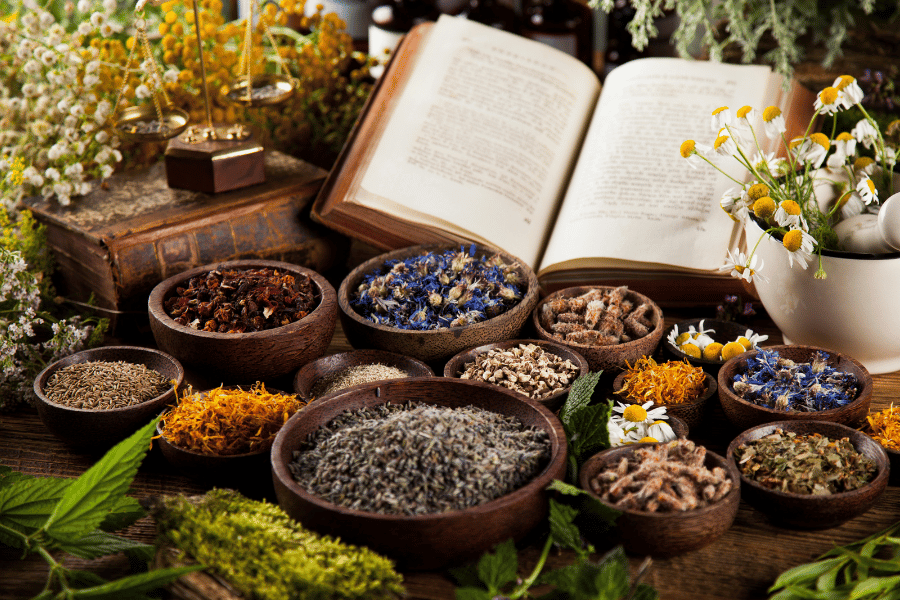 동의보감 속 희귀 약초 이야기