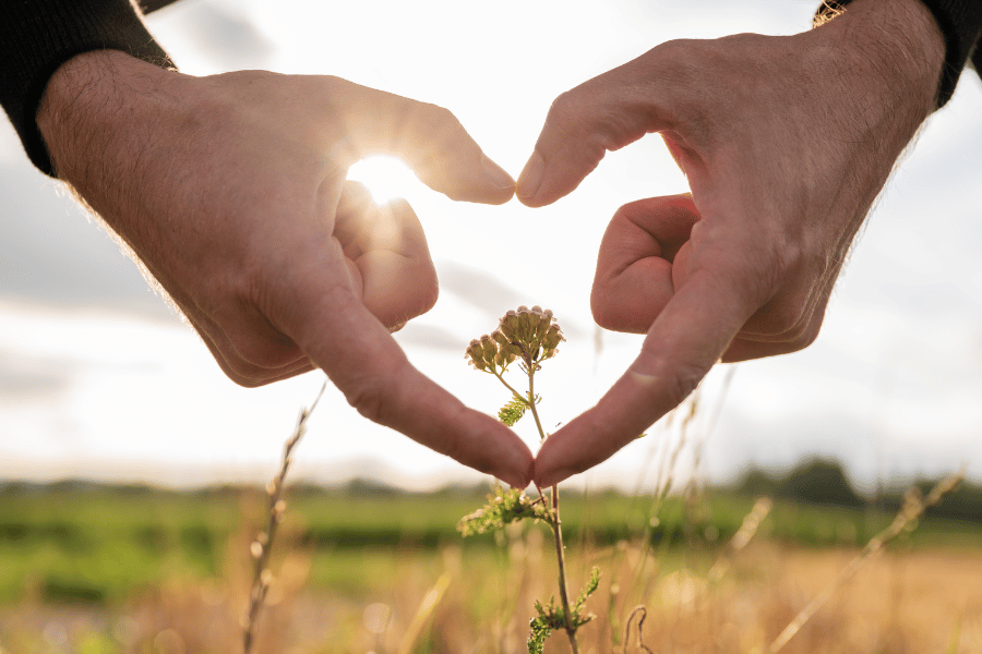 약초 남획 문제의 생태계 위협