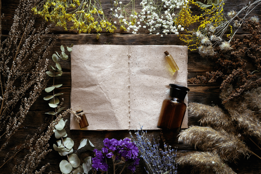 약초 보호 정책과 법적 규제