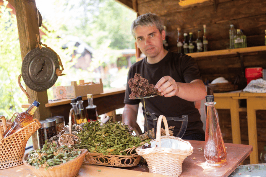 약초 채집 방법과 주의점