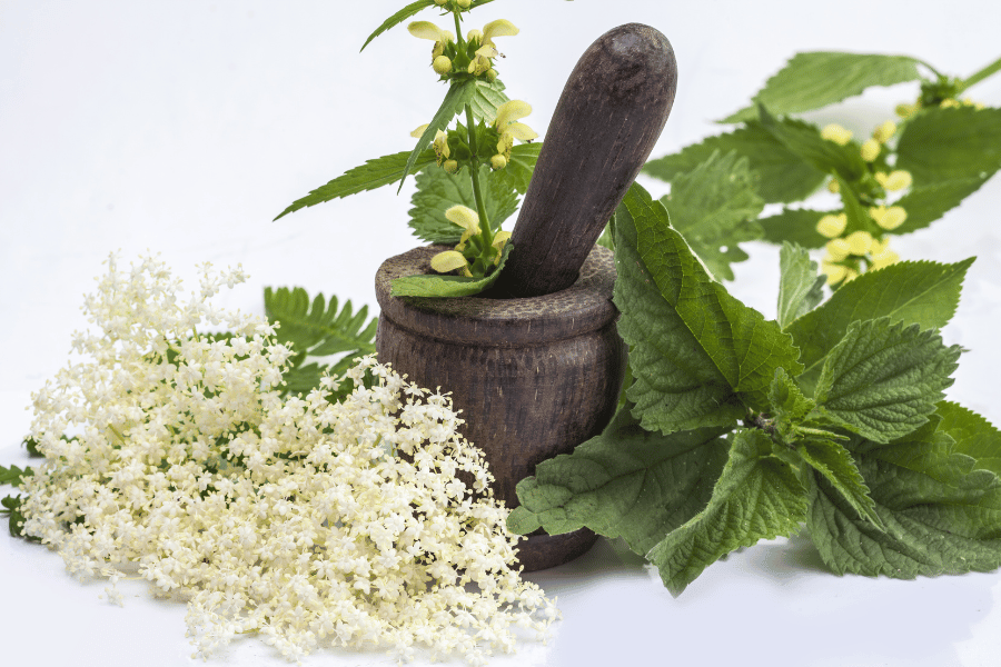 약초 채집과 관광 산업의 융합적 가치 연구