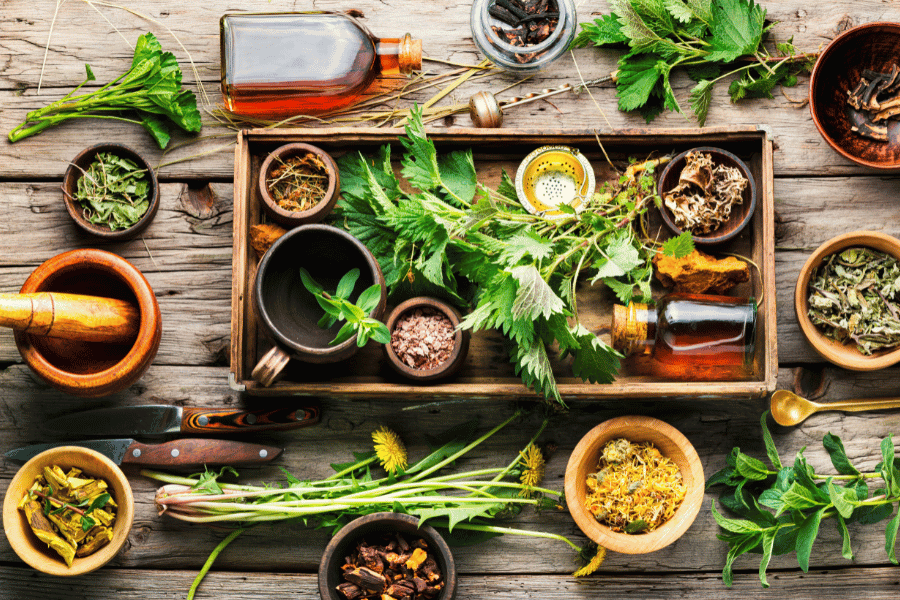 약초 채집과 관광 산업의 융합적 가치 연구