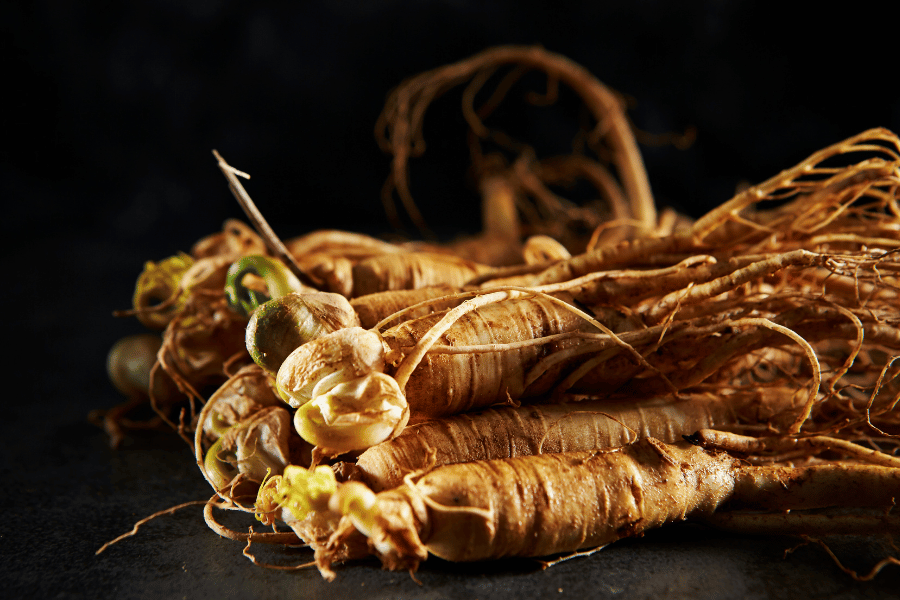 약초와 뇌 건강 연구