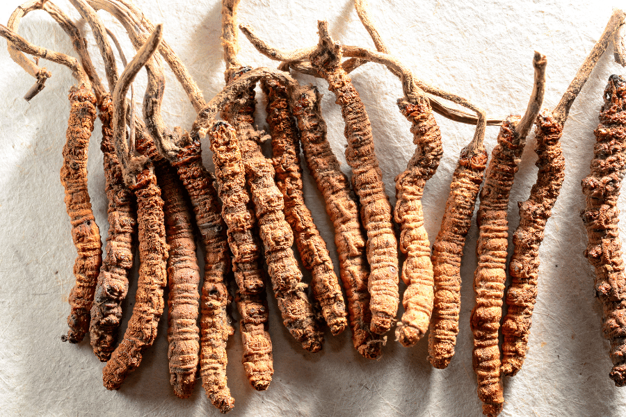 약초와 민간요법