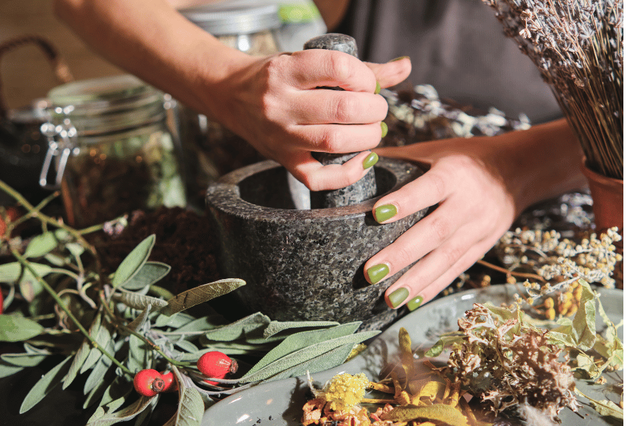 약초와 피부 건강 연구
