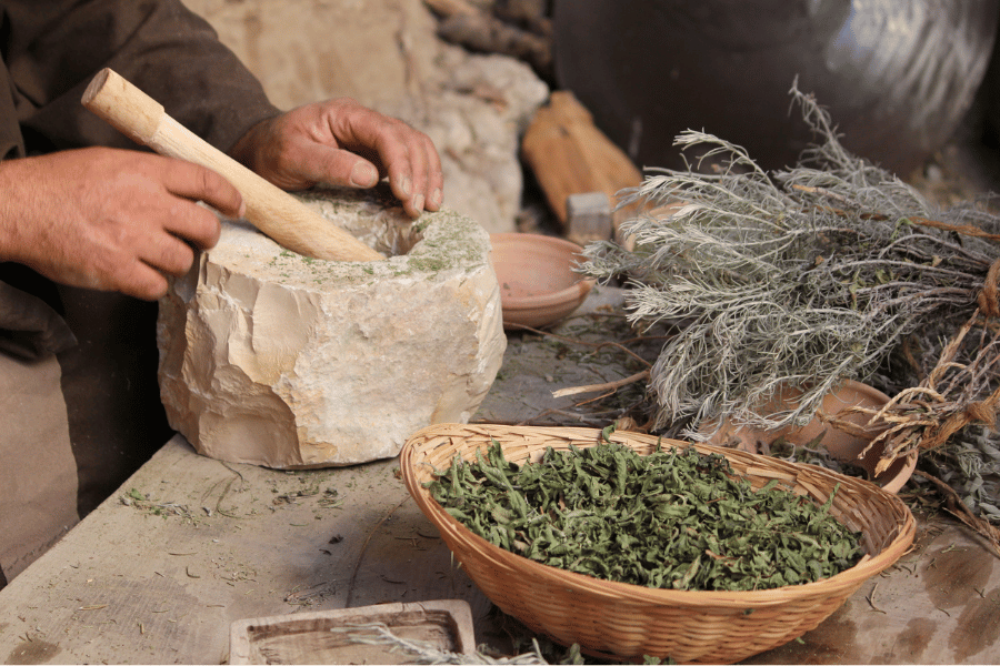 희귀 약초와 노화 방지