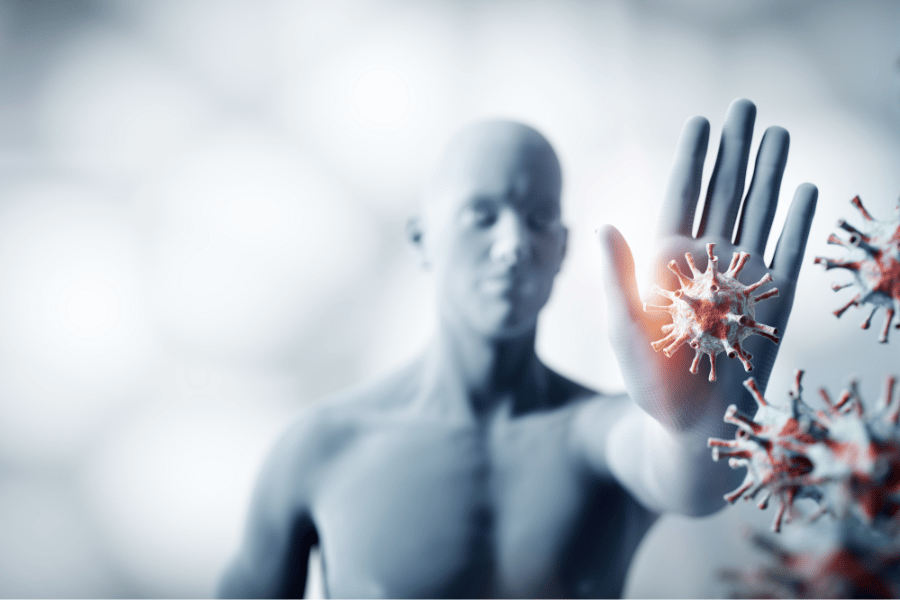 희귀 약초의 면역력 강화와 과학적 근거