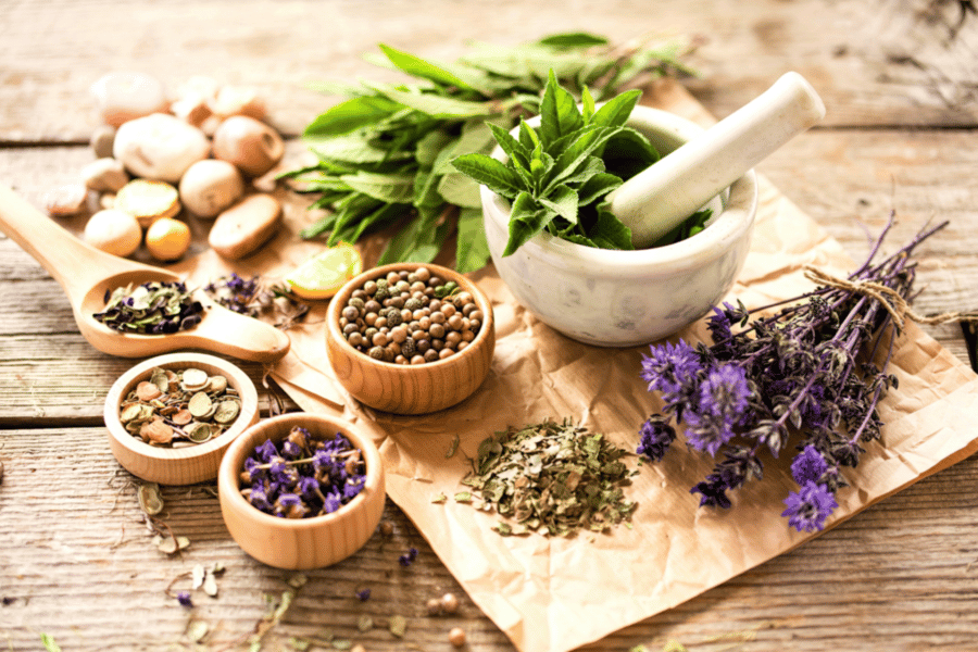 희귀 약초의 항산화 성분 연구