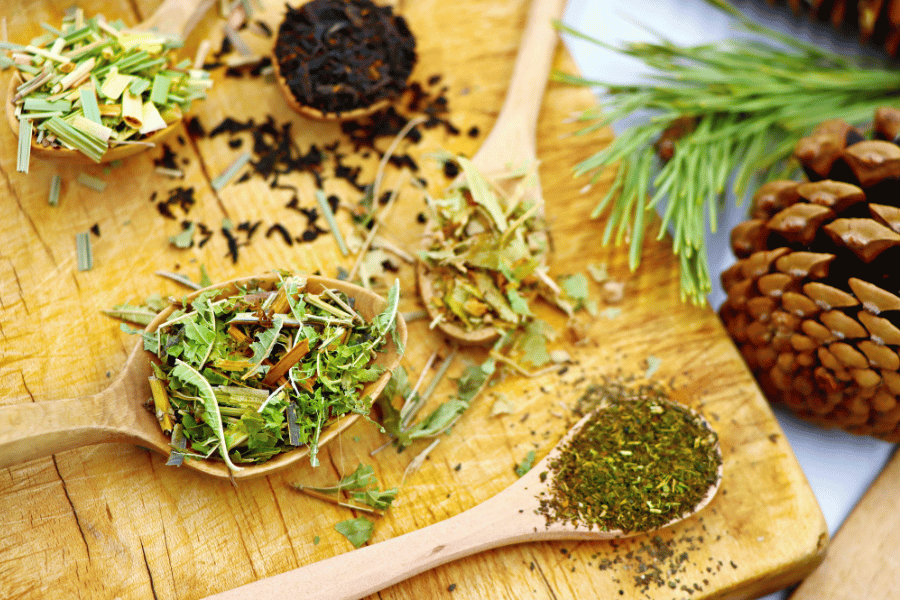 희귀 약초의 항산화 성분 연구